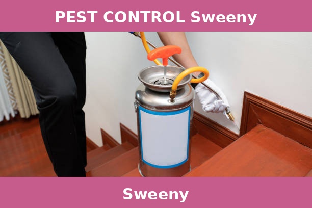 PEST CONTROL Sweeny